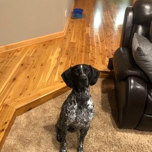 Meet your Posher, Paul